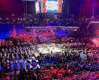 An indoor arena is filled with people watching a wrestling match. The ring is centrally located, and surrounded by audience members sitting in tiered seating. The arena is illuminated with red and blue lights, and a large overhead screen displays 'Sunday Stunner.' Spectators are engrossed in the match taking place in the well-lit ring.