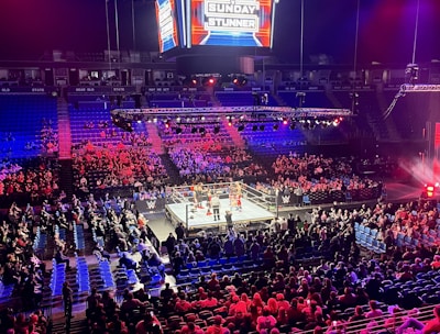 An indoor arena is filled with people watching a wrestling match. The ring is centrally located, and surrounded by audience members sitting in tiered seating. The arena is illuminated with red and blue lights, and a large overhead screen displays 'Sunday Stunner.' Spectators are engrossed in the match taking place in the well-lit ring.