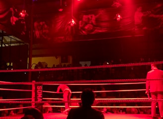 A wrestling ring is illuminated with red lighting, creating a dramatic atmosphere. Several people are visible around the ring, with silhouetted spectators in the foreground. Banners or art adorn the upper walls, and the venue has an industrial ceiling with exposed beams.
